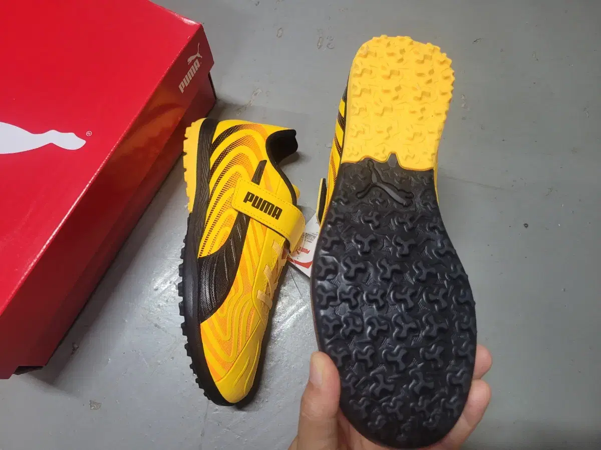 thumbnail-1